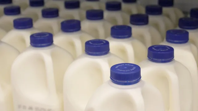 How to plan fresh-food stock and reduce write-offs
