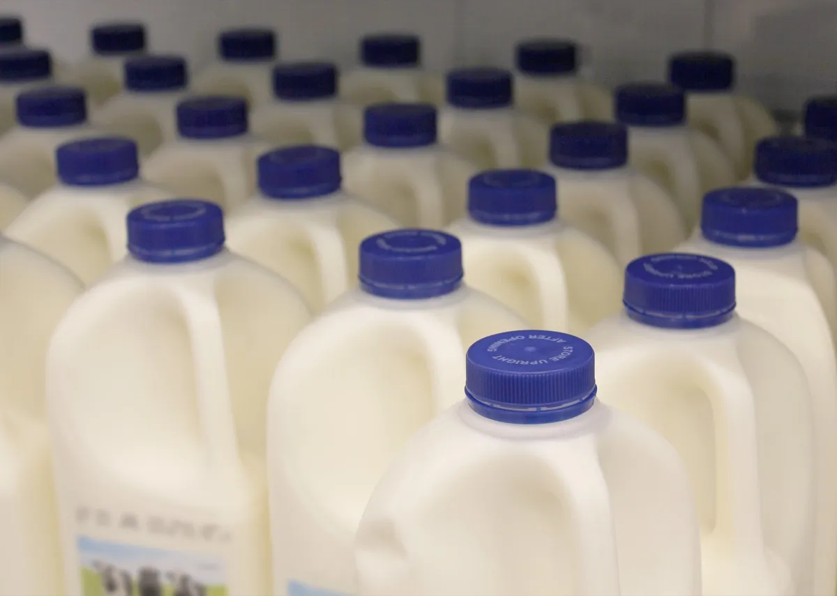 How to plan fresh-food stock and reduce write-offs