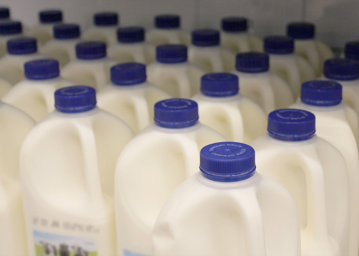 How a Czech Grocery Chain Cut Milk Spoilage by 40%